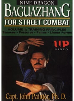 Nine Dragon Baguazhang Street Combat Volume 1