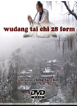 Wu Dang Tai Chi 28 Form