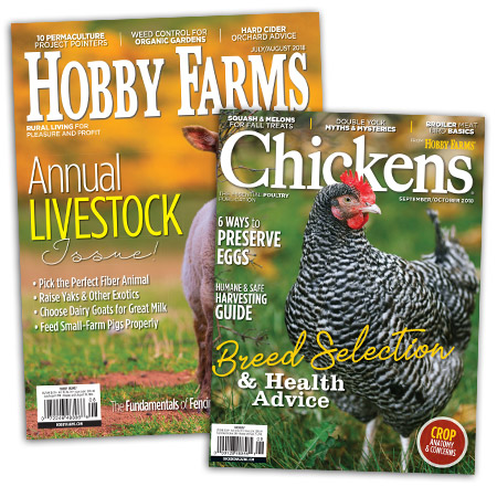 Chickens + Hobby Farms